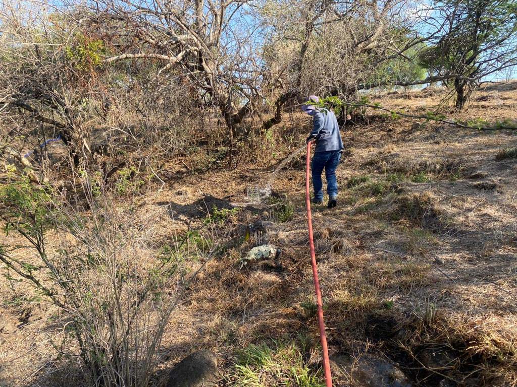 PRAMSEI: Proyectos ambientales en etapas constructivas y operativas (69)